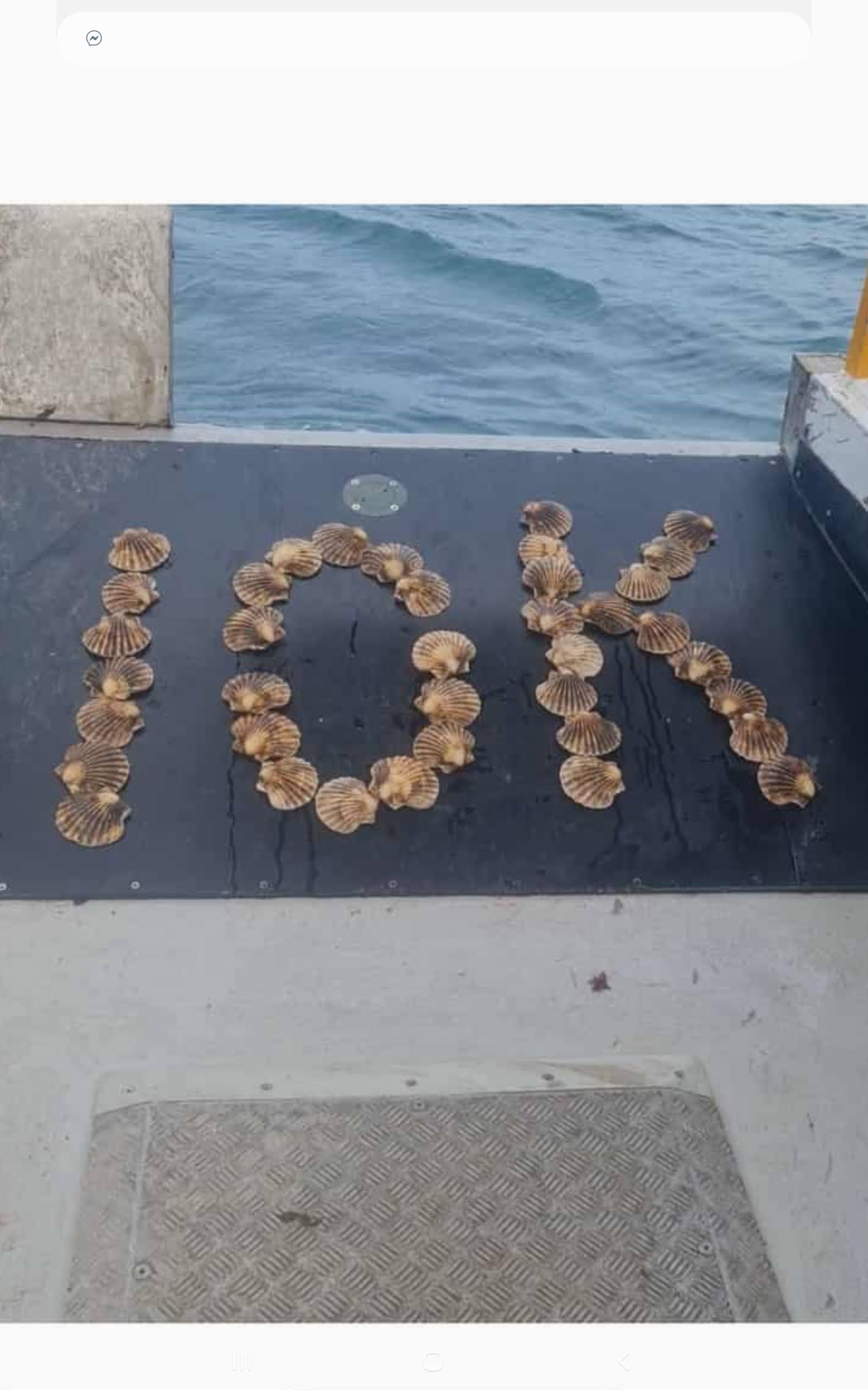 IMG 20250929 065403 145