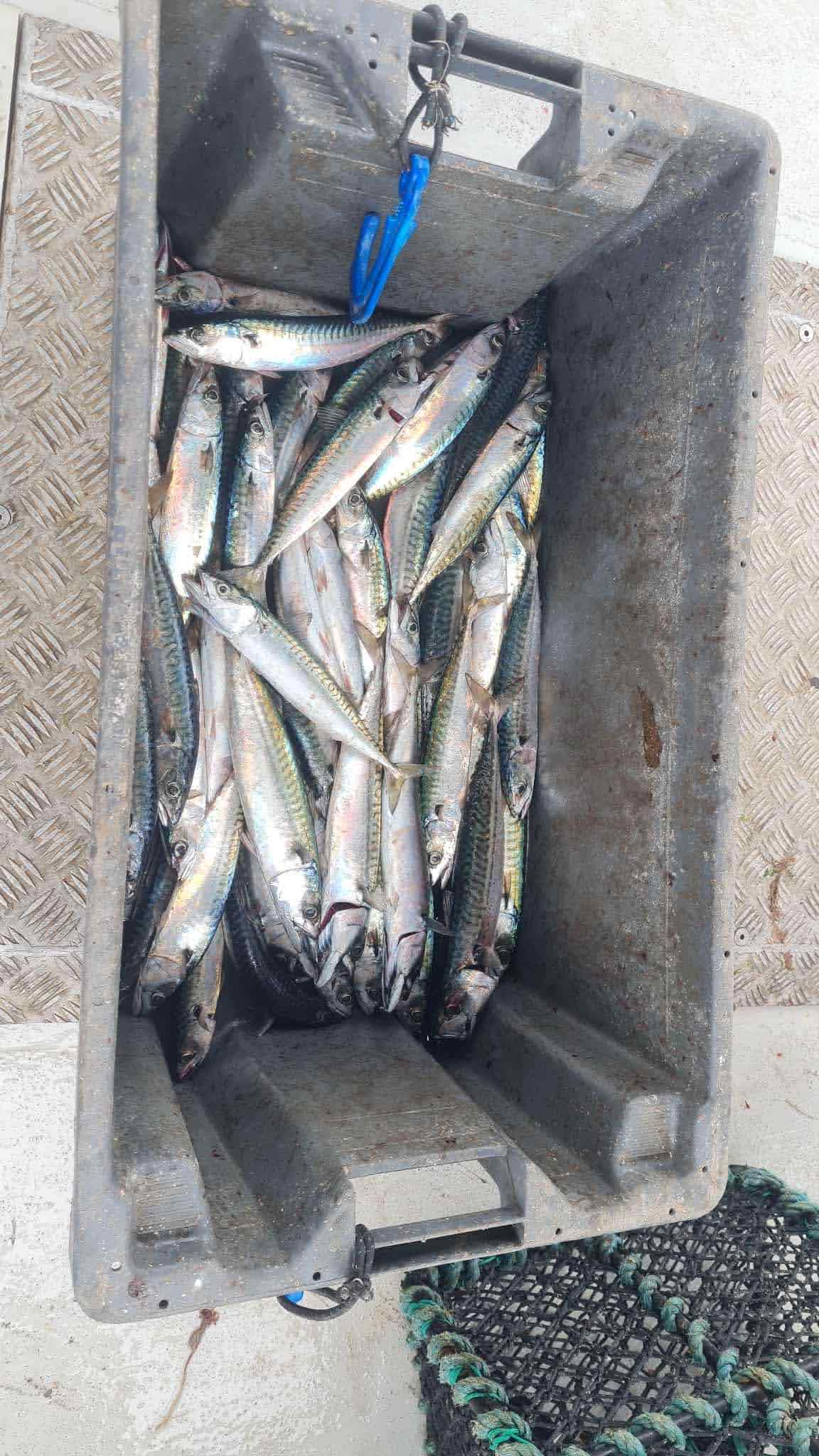 IMG 20250929 065805 837